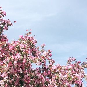 Meet your Posher, Katrina